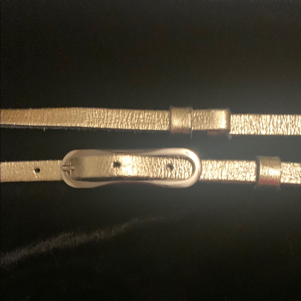 Express Gold Belt Classic Accessory - Picture 6 of 6